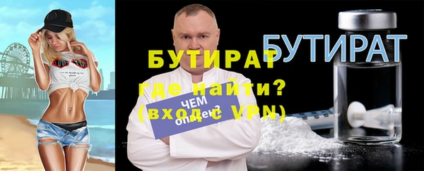 индика Осинники