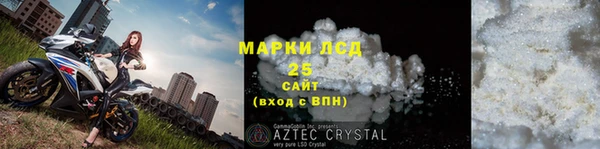 индика Осинники