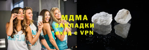 индика Осинники