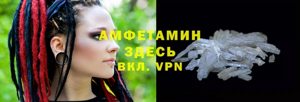 индика Осинники