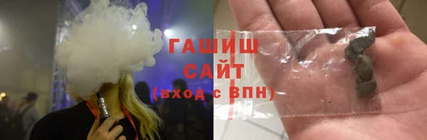 индика Осинники