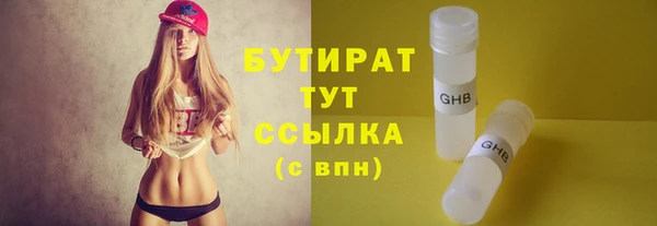 индика Осинники