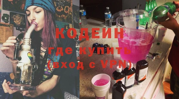 индика Осинники