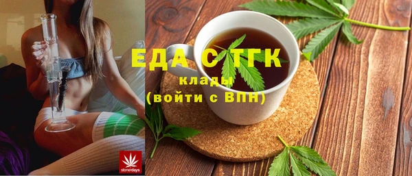 индика Осинники