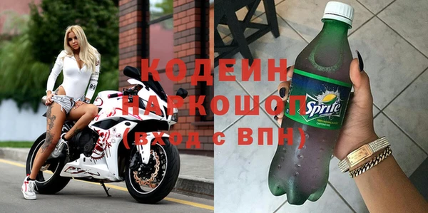индика Осинники