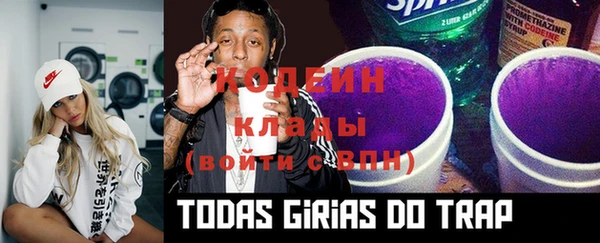 индика Осинники