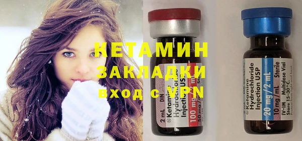 индика Осинники