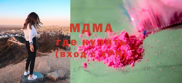 индика Осинники