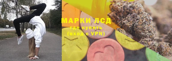 индика Осинники