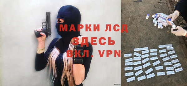 индика Осинники