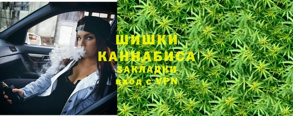 индика Осинники